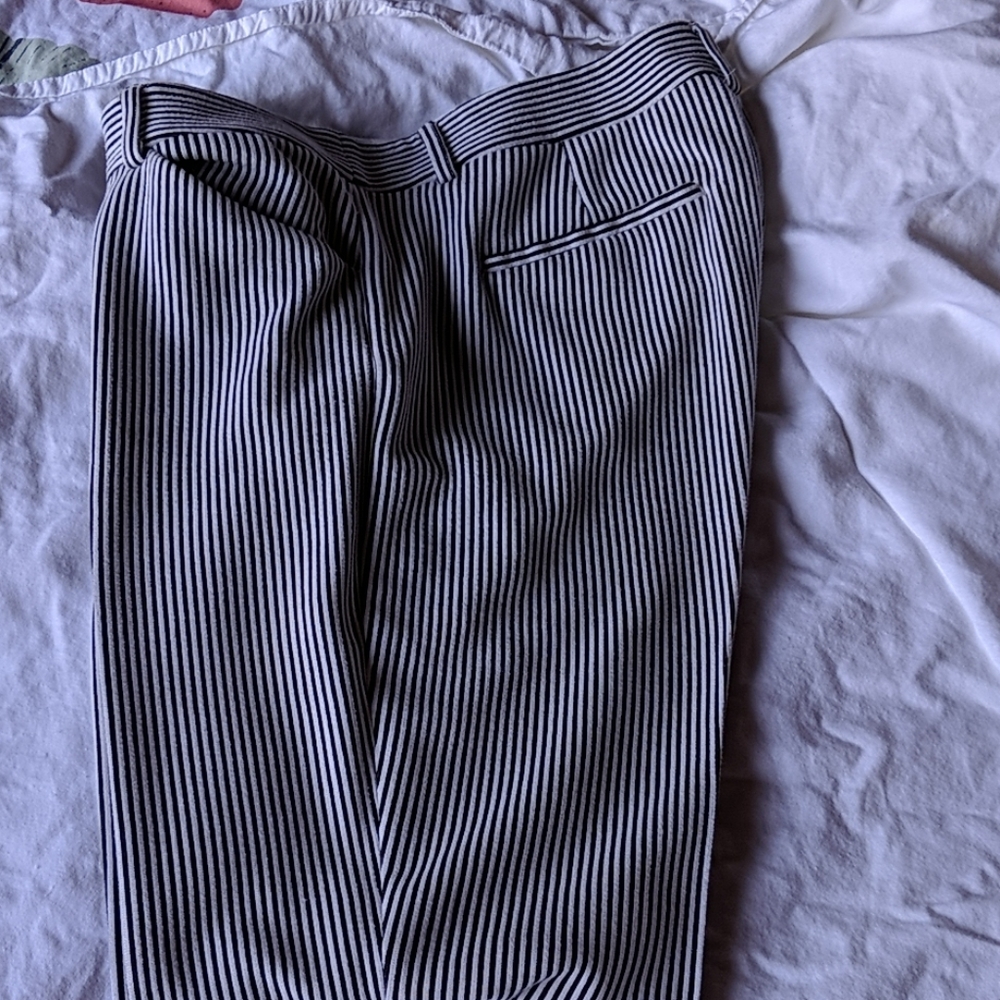 Express Columnist Dress Pant.